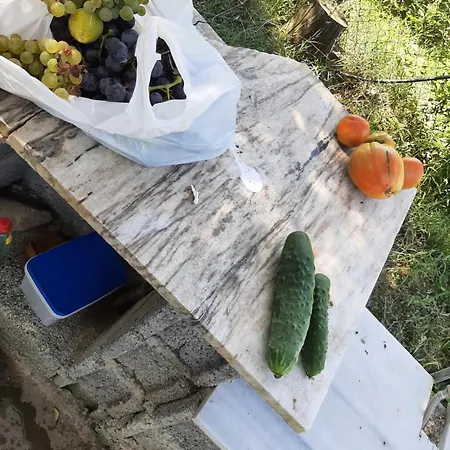شقة With Garden Përmet